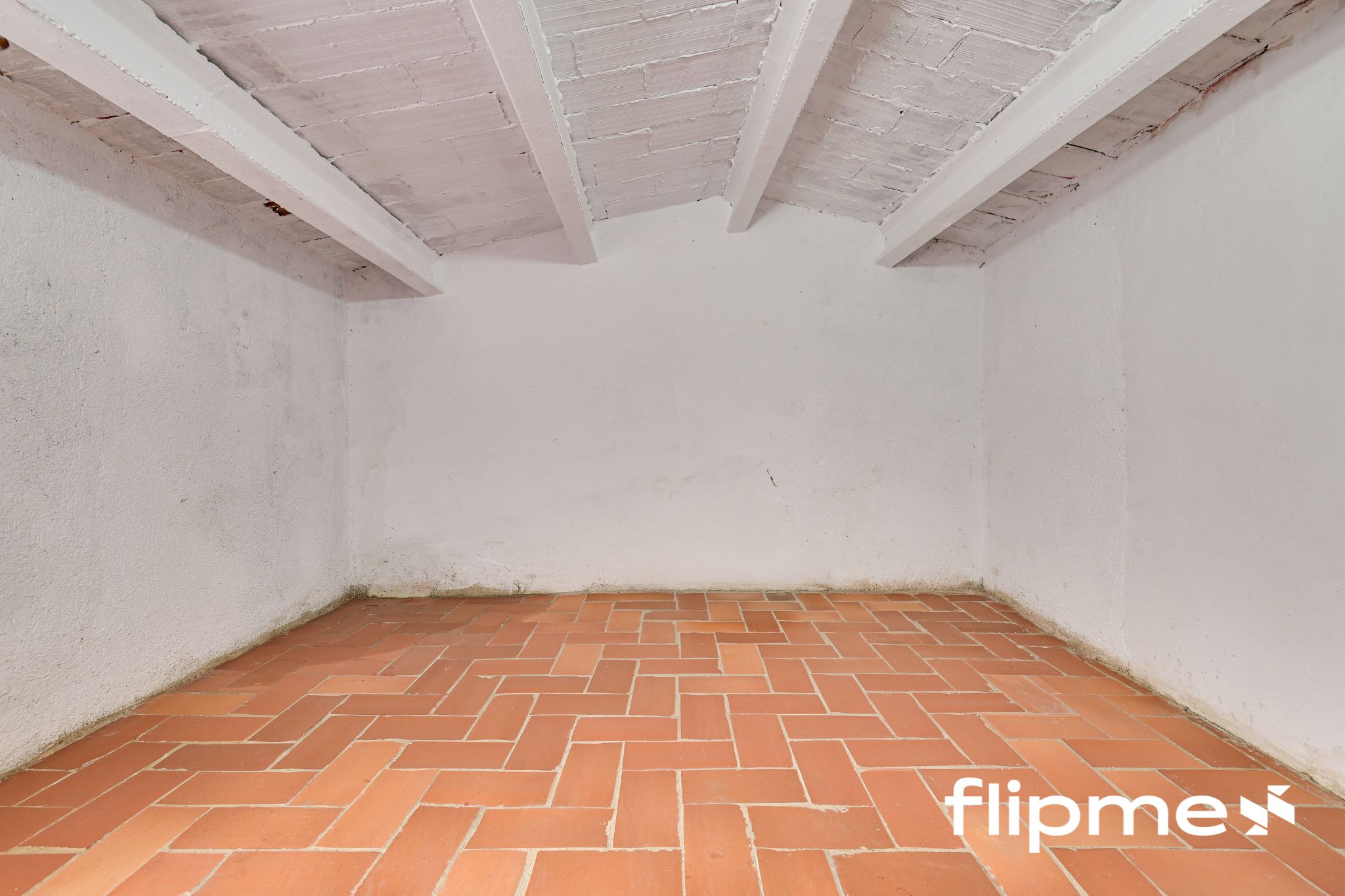 FLM BLANES 1