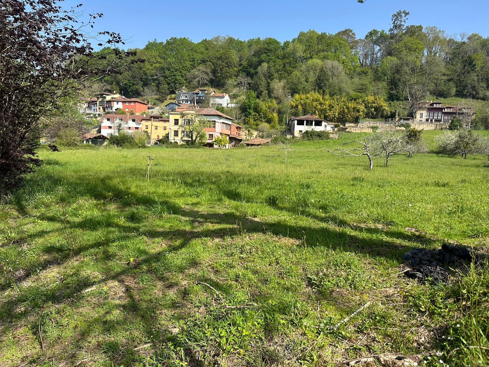 ANTRIALGO