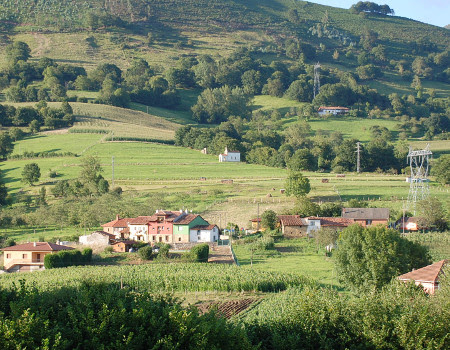ANTRIALGO