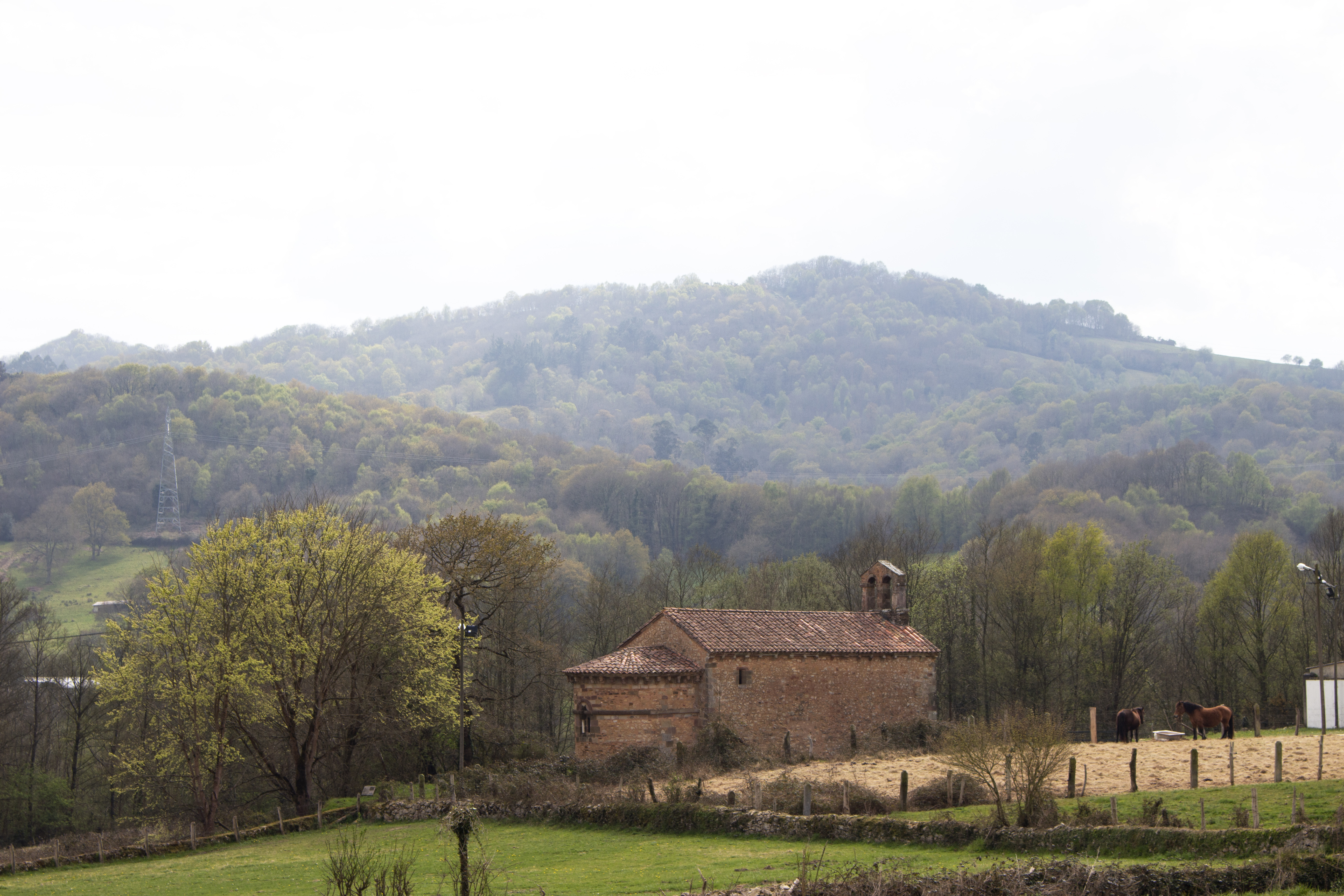 ARAMIL