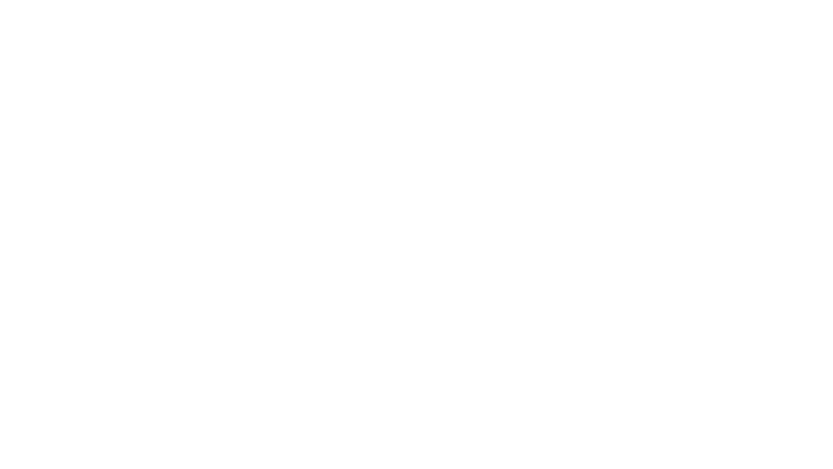 Mucaribe Investments SRL 